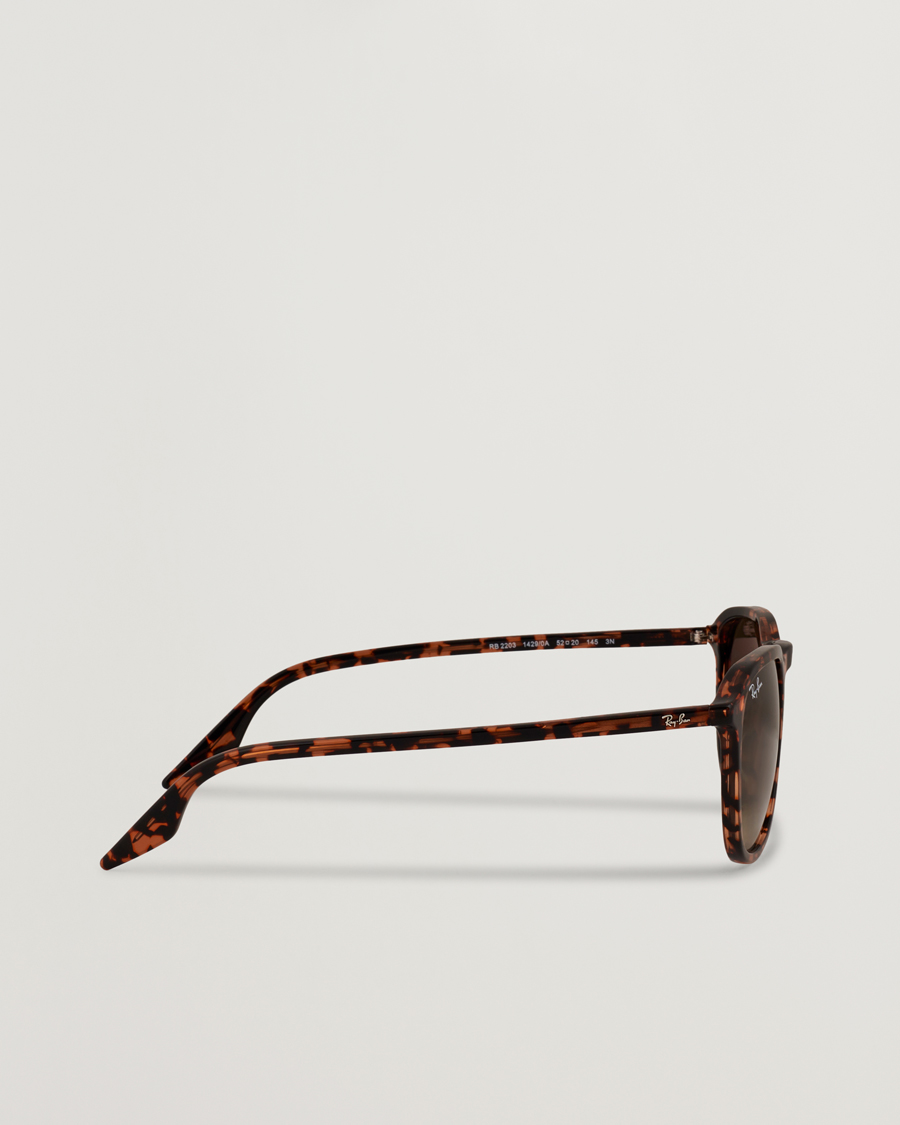 Herr | Solglasögon | Ray-Ban | 0RB2203 Sunglasses Havana
