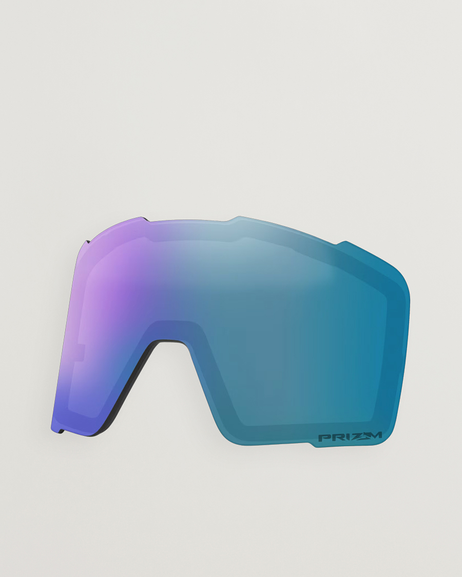 Herr | Solglasögon | Oakley | Line Miner Pro Prizm Snow Goggles M Black/Argon