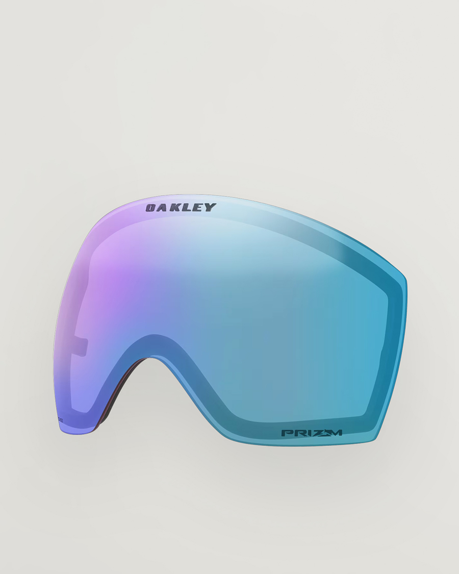 Herr | Solglasögon | Oakley | Flight Deck Pro Prizm Snow Goggles L Black/Argon