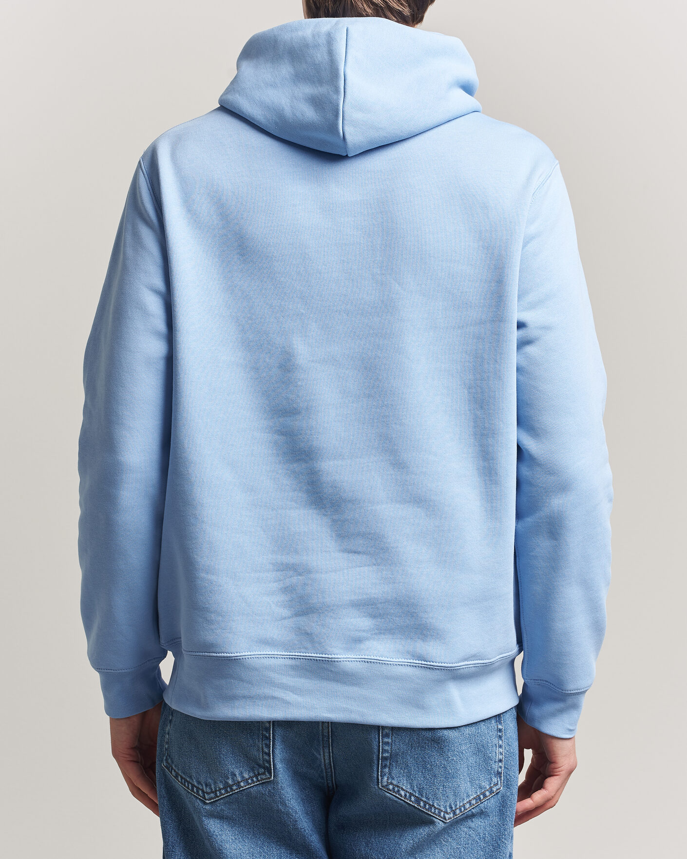 Herr | Tröjor | Polo Ralph Lauren | Fleece Bear Hoodie Austin Blue