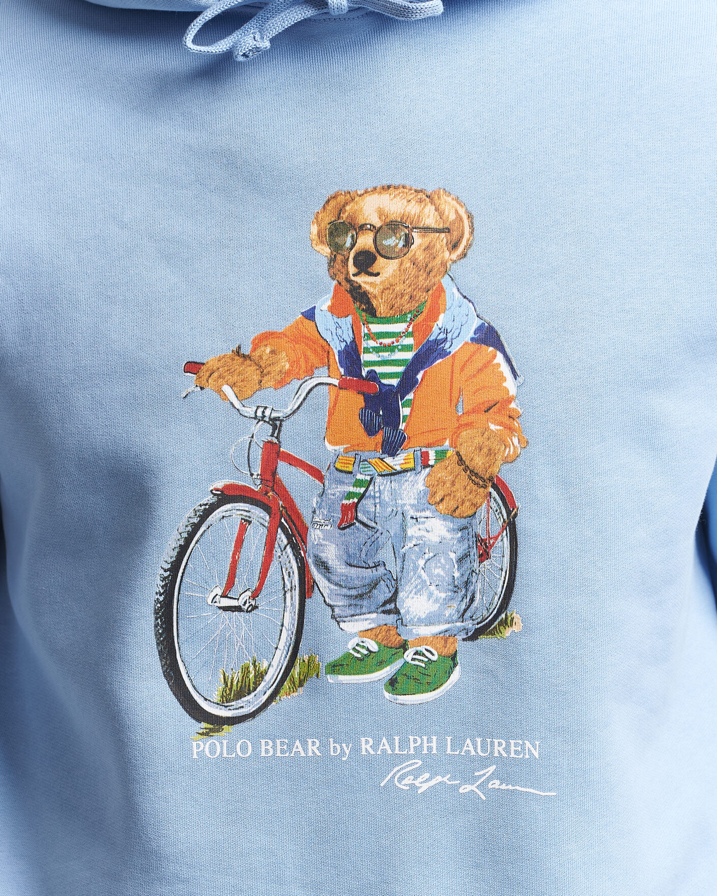 Herr | Tröjor | Polo Ralph Lauren | Fleece Bear Hoodie Austin Blue