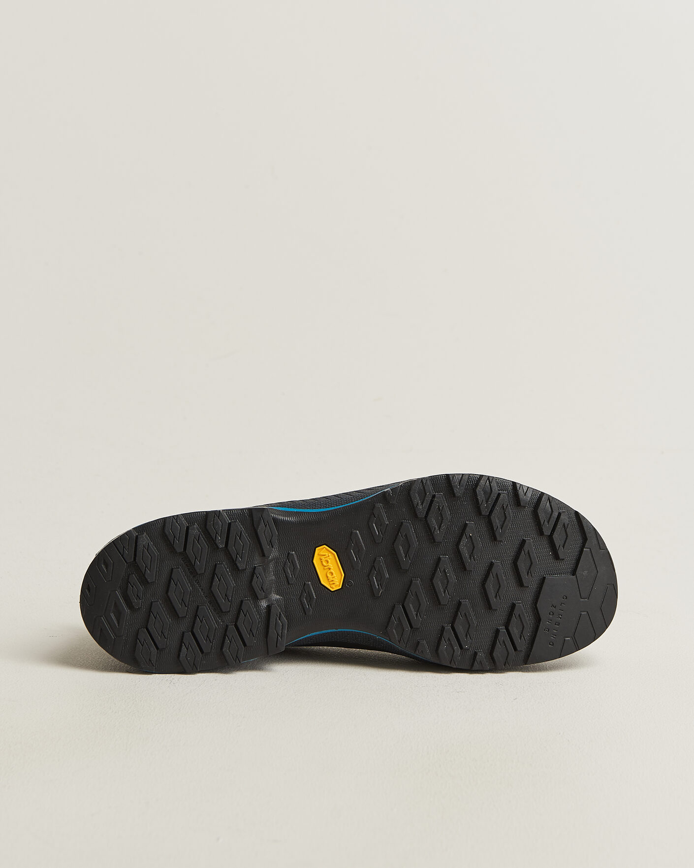 Herr | Hikingskor | La Sportiva | TX4 EVO Cypress/Night Sky