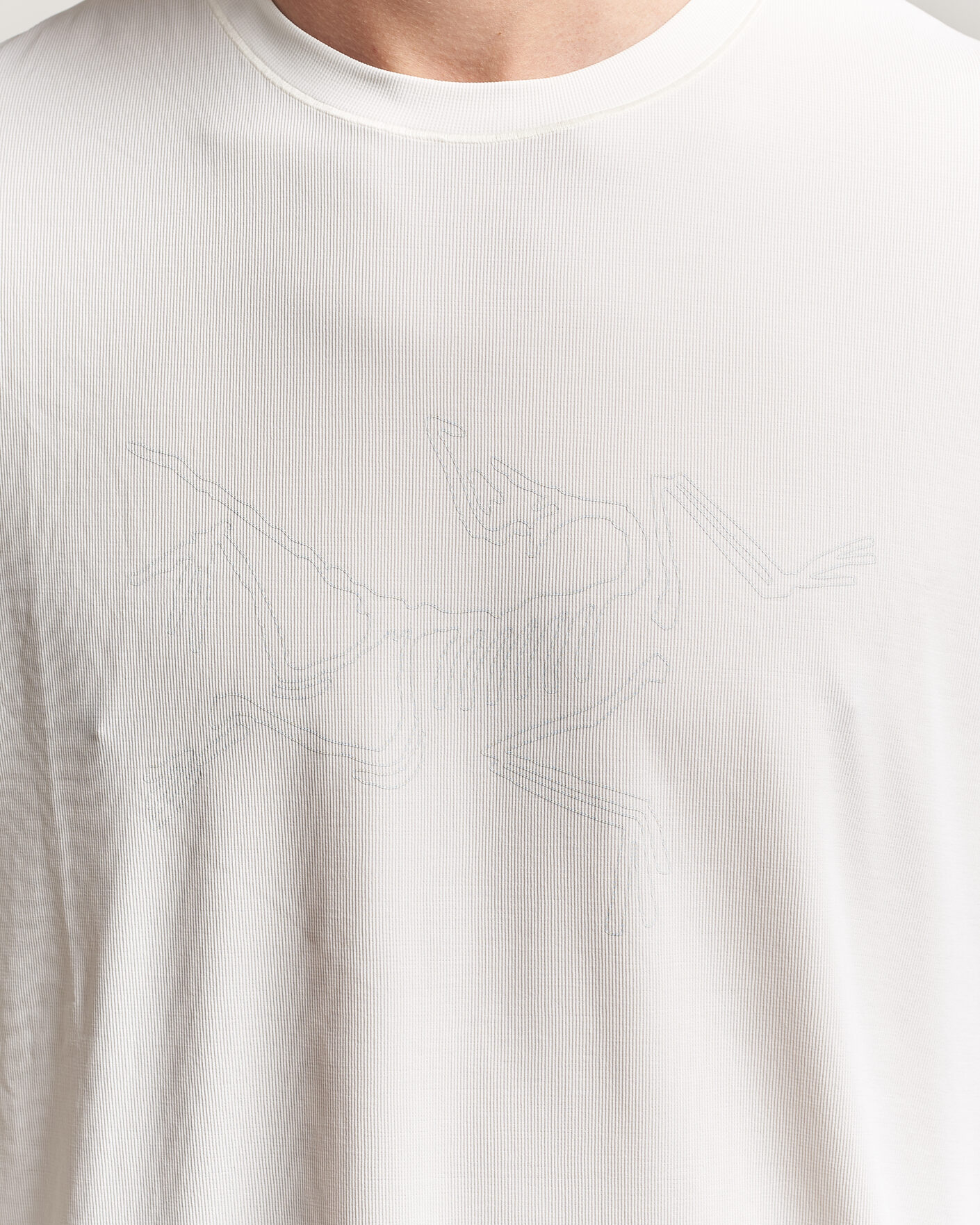 Herr | T-Shirts | Arc'teryx | Cormac Bird Logo Crew Neck T-Shirt Arctic Silk