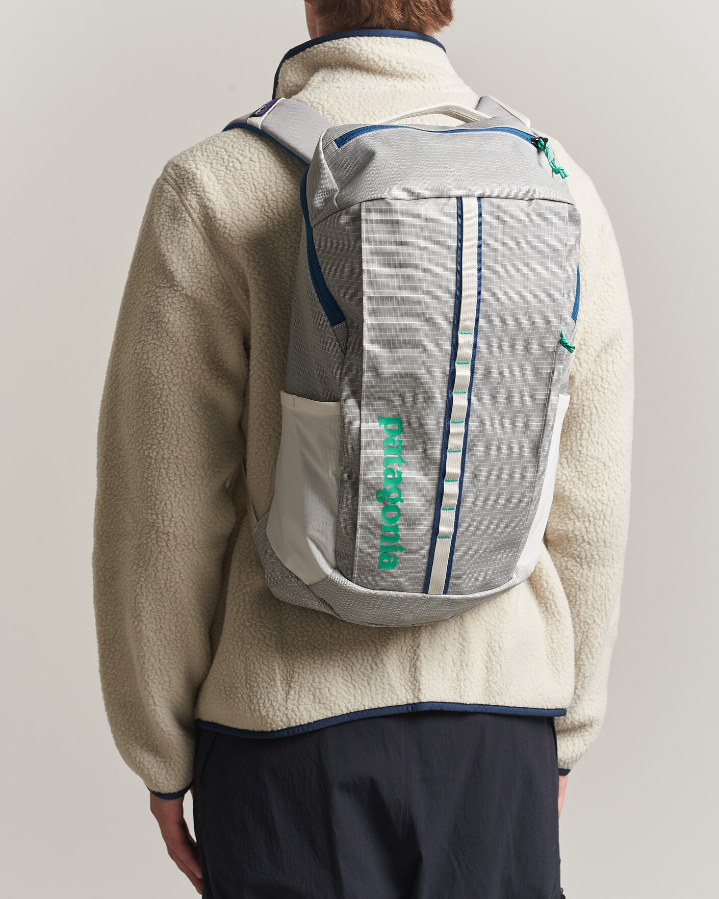Herr | Väskor | Patagonia | Black Hole Pack 25L Birch White