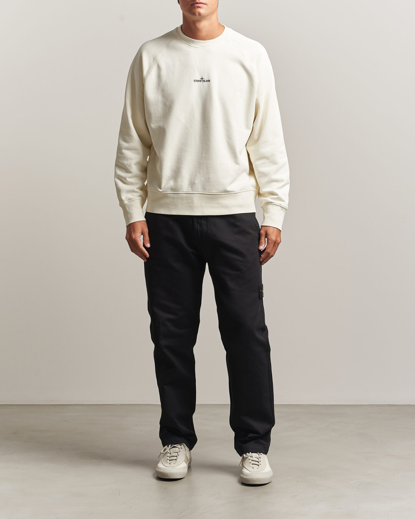 Herr | Tröjor | Stone Island | Garment Dyed Fleece Desert Print Sweatshirt Ivory