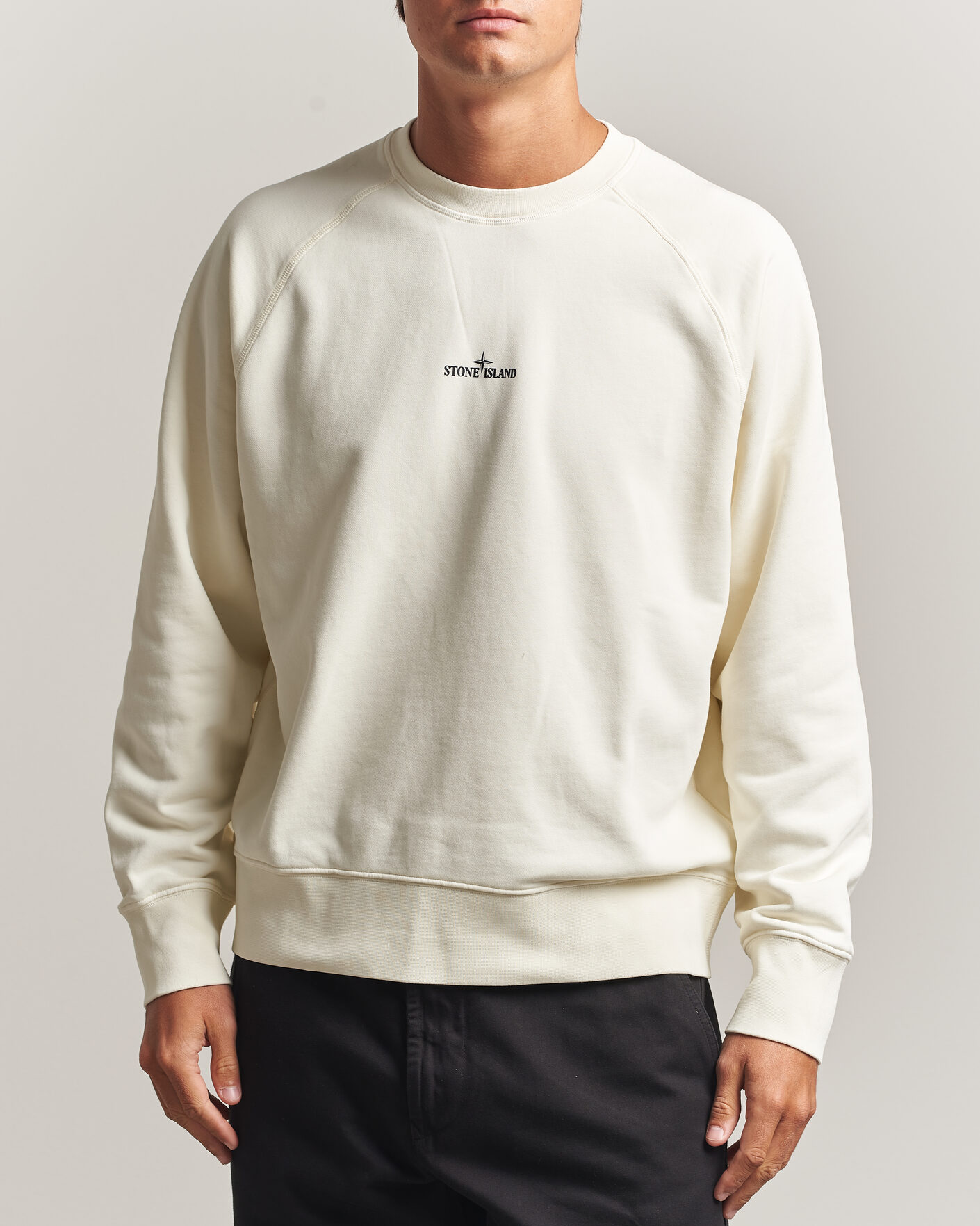 Herr | Tröjor | Stone Island | Garment Dyed Fleece Desert Print Sweatshirt Ivory