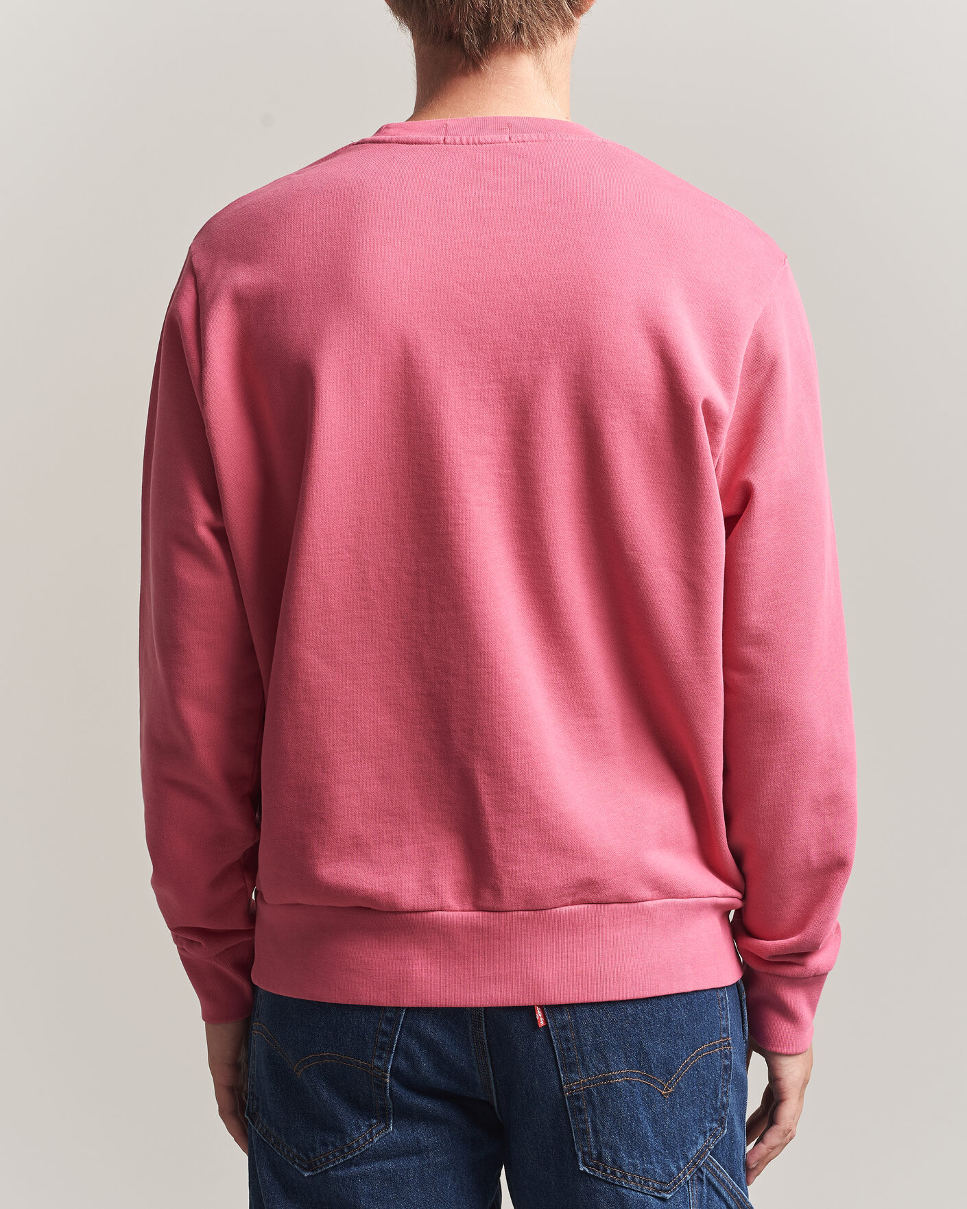 Herr | Tröjor | Polo Ralph Lauren | Loopback Terry Sweatshirt Terrance Pink