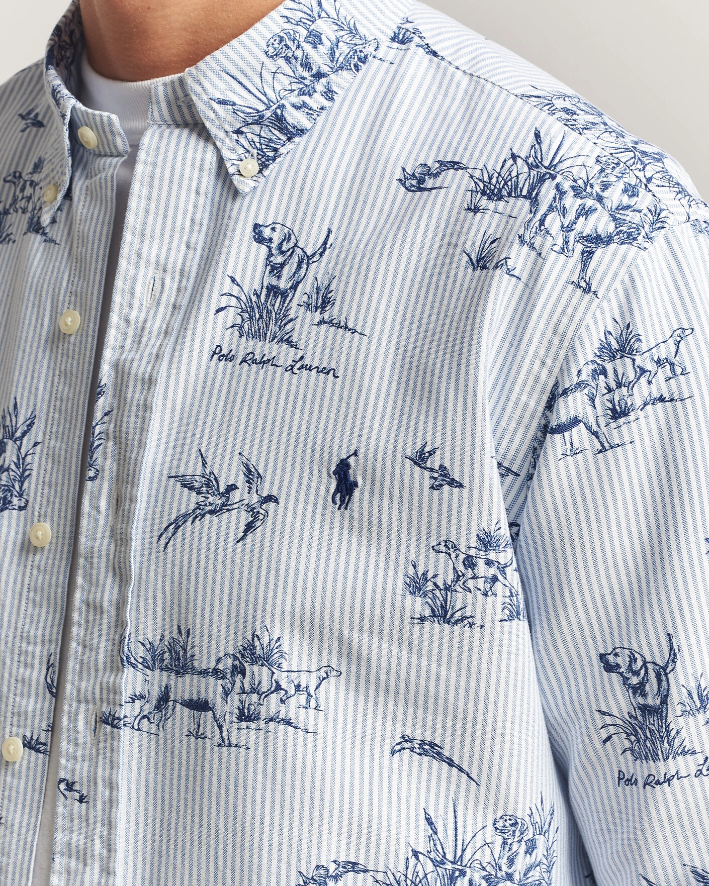 Herr | Skjortor | Polo Ralph Lauren | Custom Fit Printed Oxford Shirt Field & Pheasant