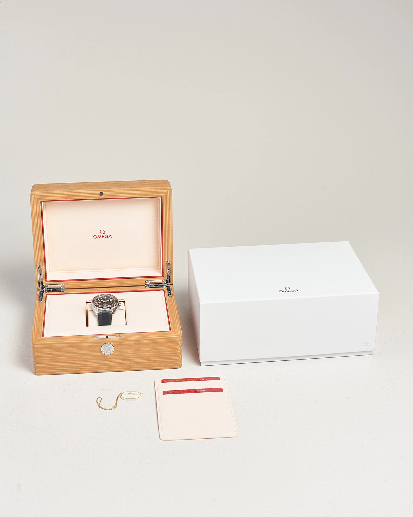 Herr | Pre-Owned & Vintage Watches | Omega Pre-Owned | Seamaster Planet Ocean 